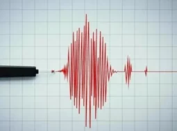 Deprem Sırasında ve Sonrası Yapılması Gerekenler