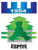Espiye Belediyesi logosu